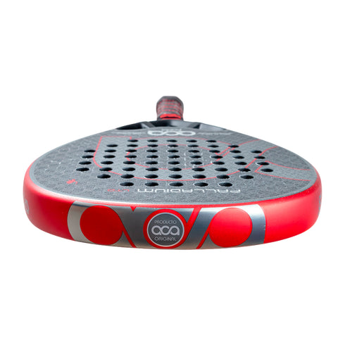 Pala Aca Palladium LTD