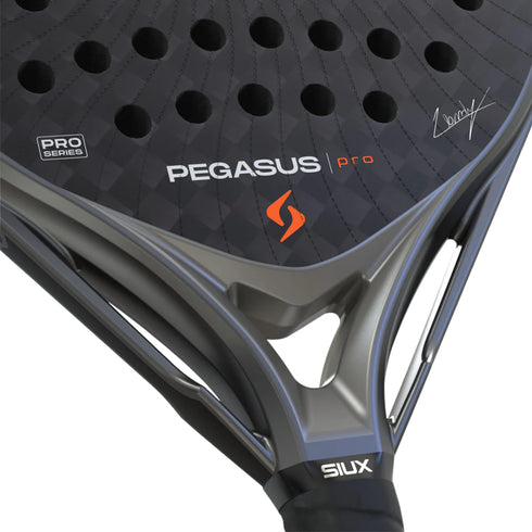 Pala Siux Pegasus Pro 2026 Strom Grey Alex Chozas