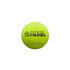 Pelotas Wilson Padel Premier Speed (x3)